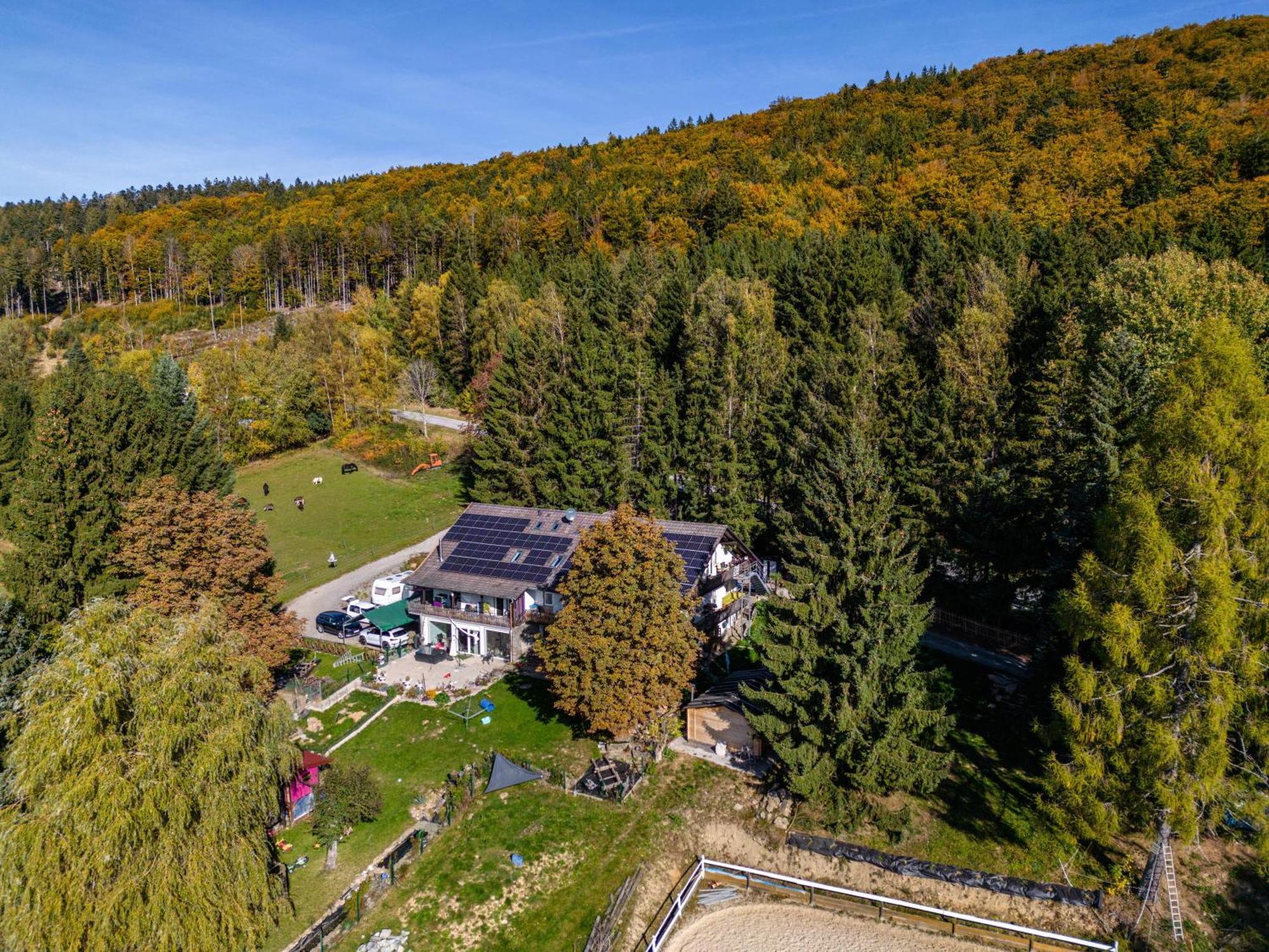 Fuchswiese Thurmansbang Exterior foto